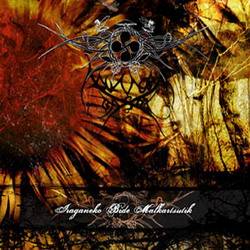 Aiumeen Basoa : Iraganeko Bide Malkartsutik